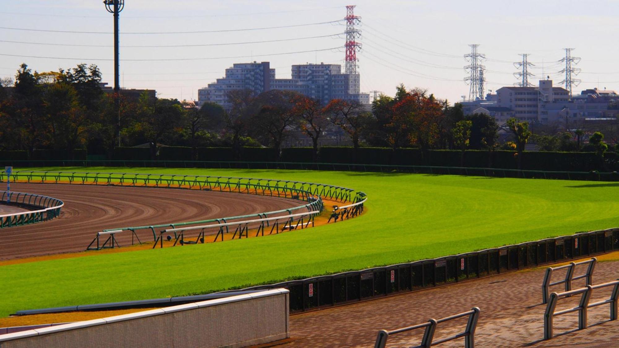 Toyoko Inn Nishi Funabashi Baraki Inter Ичикава Екстериор снимка